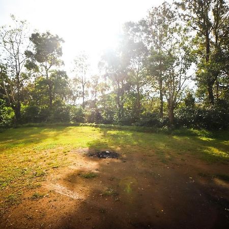 Nelliyampathy Misty Valley Hill Resorts מראה חיצוני תמונה